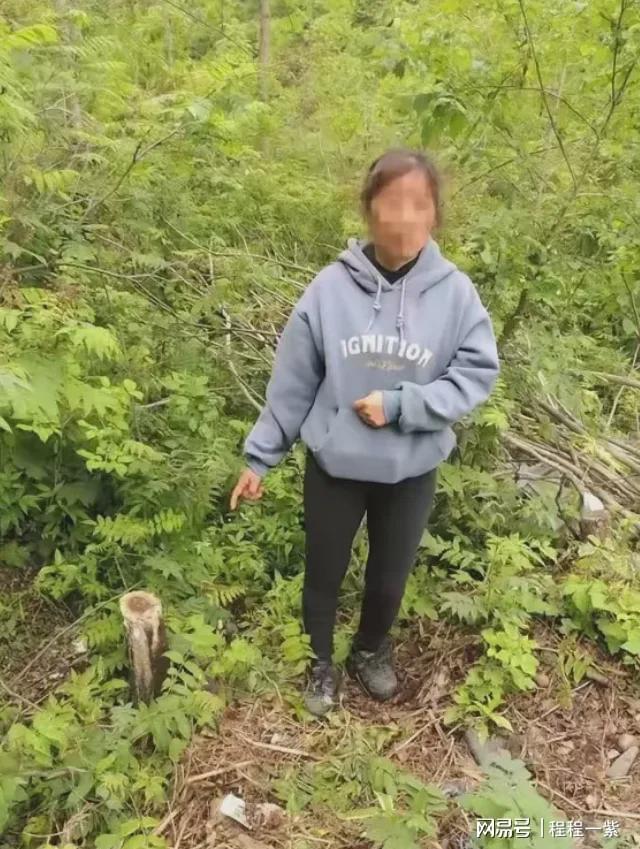 悲剧”吉林女子砍树被捕究竟冤不冤？K8凯发天生赢家一根晾衣杆引发的“(图2)